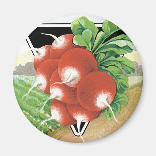 Aimant Vintage Seed Packet Étiquette Art, Radis Scarlet (Devant)