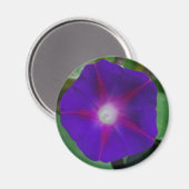 Aimant Violet (Recto/Verso)