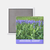 Aimant Violet Bluebell (Recto/Verso)