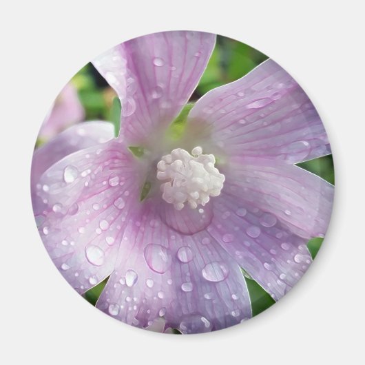 Aimant Violet clair (Devant)