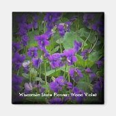 Aimant Violet de bois en vedette Fleur d'État Wisconsin (Devant)