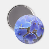 Aimant Violettes africaines bleues (Recto/Verso)