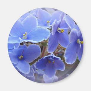 Aimant Violettes africaines bleues