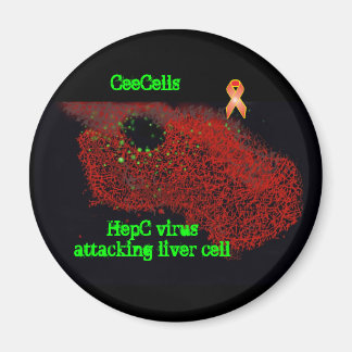 Aimant Virus de l'hépatite C attaquant la cellule hépatiq