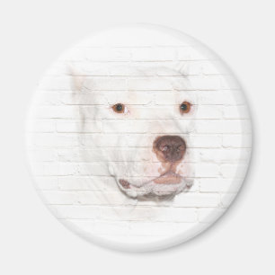 Aimant Visage blanc de terrier de pitbull