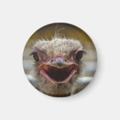 Aimant Visage d'autruche souriant (Devant)