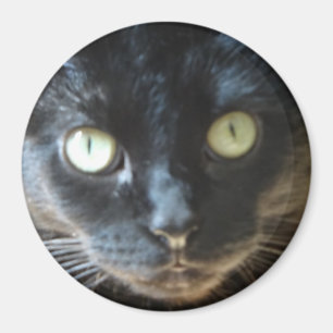 Aimant Visage de chat noir