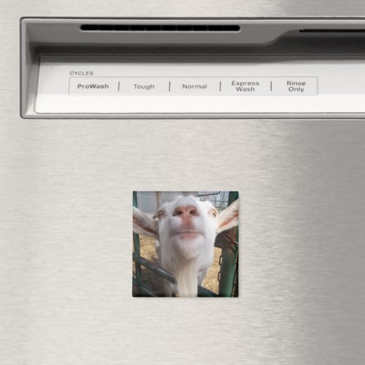 Aimant Visage de chèvre (In Situ (Lave-vaisselle))