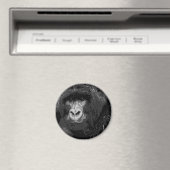 Aimant Visage de Gorilla (In Situ (Lave-vaisselle))