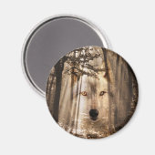 Aimant Visage de loup dans les bois (Recto/Verso)