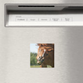 Aimant Visage drôle de cheval avec lèvres courbées, oeil  (In Situ (Lave-vaisselle))