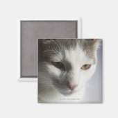 Aimant Visage d'un chat (Recto/Verso)