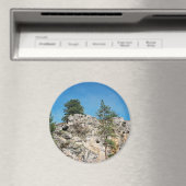 Aimant Visages.... (In Situ (Lave-vaisselle))