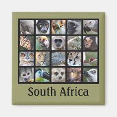 Aimant Visages animaux sauvages — Mammifères, Reptiles, O (Devant)