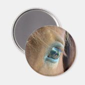 Aimant Vision du cheval (Recto/Verso)