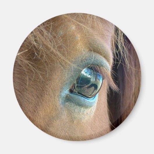 Aimant Vision du cheval (Devant)