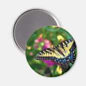 Aimant Visiteur d'été (Recto/Verso)