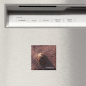 Aimant Vitesse (In Situ (Lave-vaisselle))