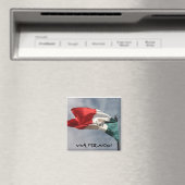Aimant Viva Mexico ! (In Situ (Lave-vaisselle))