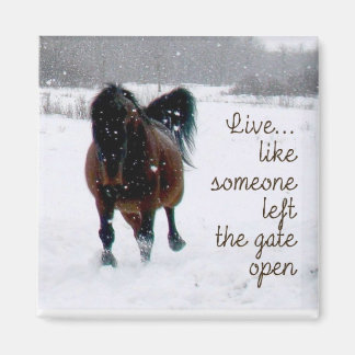 Aimant Vivez la vie !