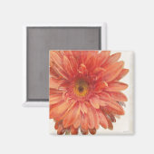 Aimant Vivid Daisy (Recto/Verso)