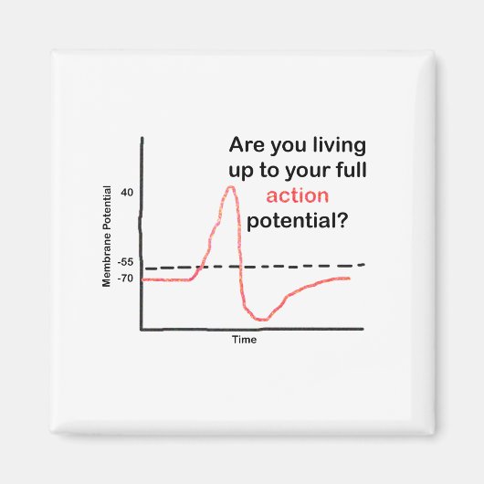 Aimant Vivre Jusqu'À Votre Plein Potentiel (Devant)