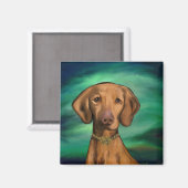 Aimant Vizsla (Recto/Verso)
