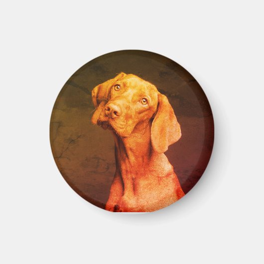Aimant Vizsla (Devant)