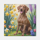 Aimant Vizsla Chien Fleurs de printemps Peinture (Devant)