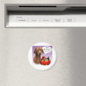Aimant Vizsla Halloween Candy (In Situ (Lave-vaisselle))
