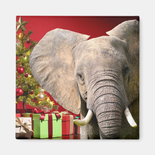 Aimant Voeux de Noël éléphant