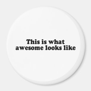 AIMANT VOICI À QUOI RESSEMBLE L'EXCELLENT (2)