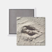 Aimant Voie de cerfs (Recto/Verso)