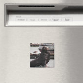 Aimant voilier d'otarie (In Situ (Lave-vaisselle))