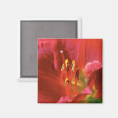 Aimant Voir rouge (Recto/Verso)