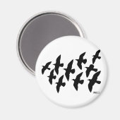 Aimant Vol de pigeons (Recto/Verso)
