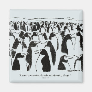 Aimant Vol d'identité