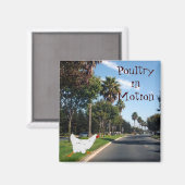 Aimant Volaille en mouvement (Recto/Verso)