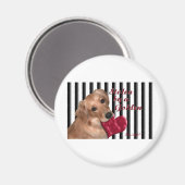 Aimant Volé par un or (Recto/Verso)