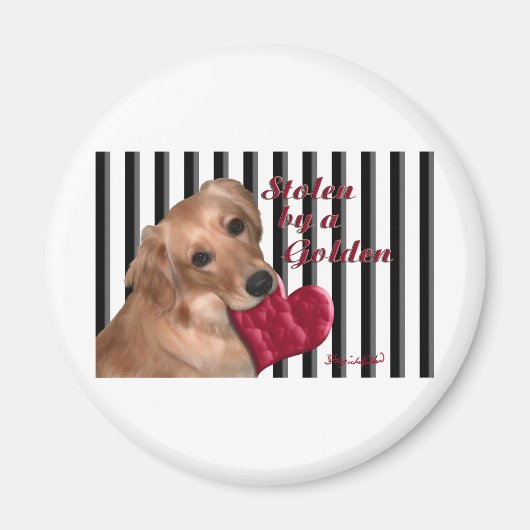 Aimant Volé par un or (Devant)