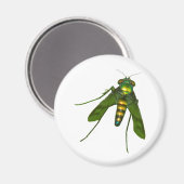 Aimant voler (Recto/Verso)