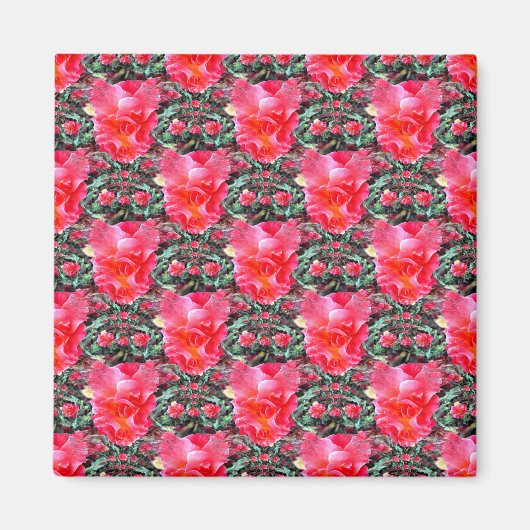 Aimant Voler des Roses..... (Devant)