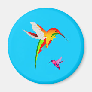 Aimant Voler les colibris