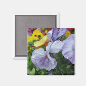 Aimant : volets (Recto/Verso)