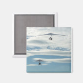 Aimant Volez ! (Recto/Verso)