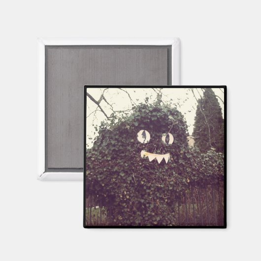 Aimant Voodoo Bush (Recto/Verso)