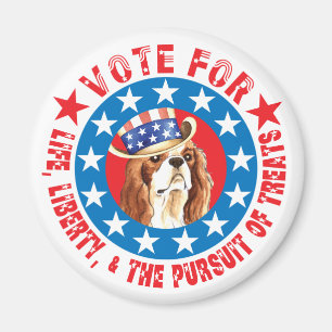 Aimant Voter pour Cavalier