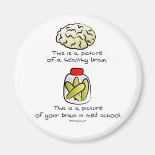 Aimant Votre cerveau à l'école de Med