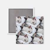 Aimant Votre chiot chien de compagnie photo personnalisée (Recto/Verso)