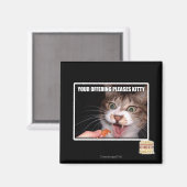 Aimant Votre Offre Plaise Kitty (Recto/Verso)